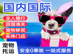 东极航空托运国际宠物托运 【国